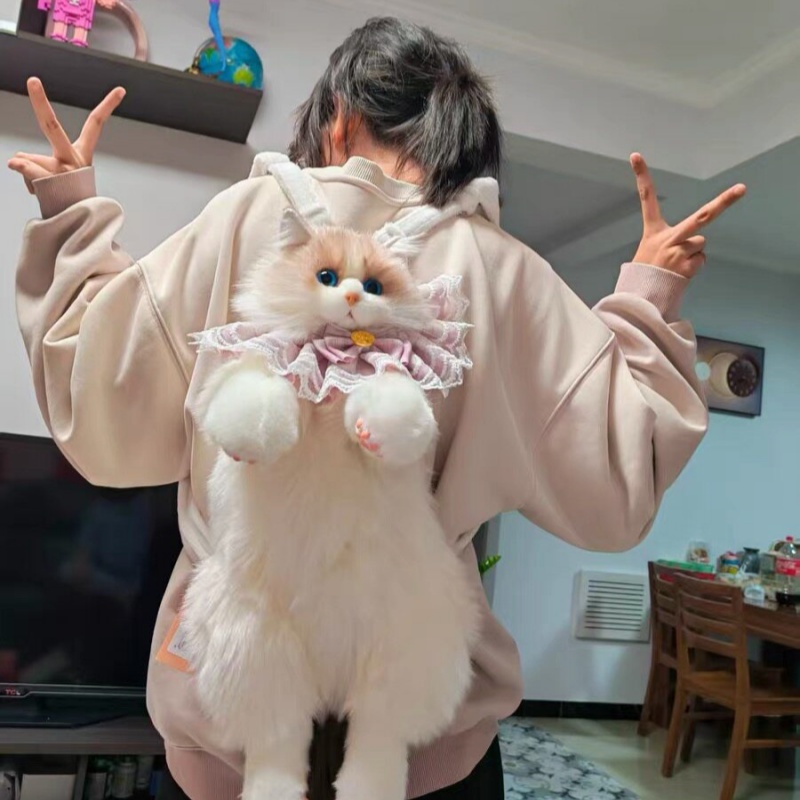 2026 New In Stock Ragdoll Cat  – Travel Accessories Gift Ideas recenzja i cena