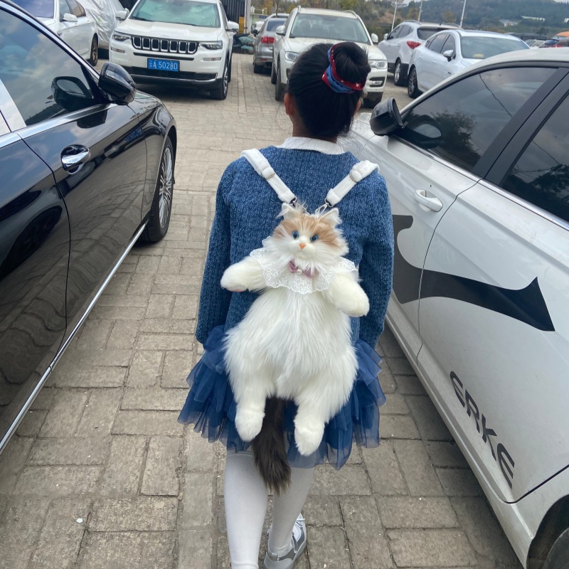 2026 New In Stock Ragdoll Cat  – Travel Accessories Gift Ideas recenzja i cena